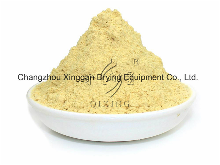 Spray Drying Equipment for Ginger Powder