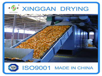 Belt Drying Equipment for Orange Peel