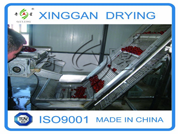 Belt Drying Equipment for Jujube